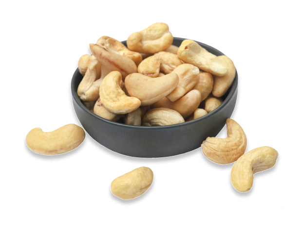 Cashew Nut